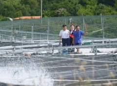 以系统化思维推进现代农业、康养财产等方面的