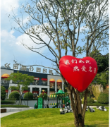 接通后即刻有专业参谋对接